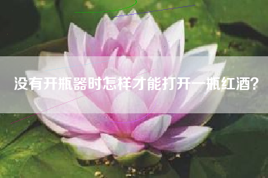 沒有開瓶器時怎樣才能打開一瓶紅酒？