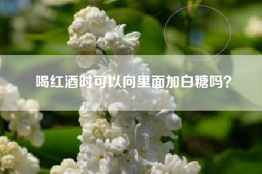 喝紅酒時可以向里面加白糖嗎？