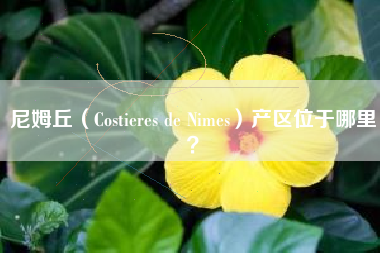 尼姆丘（Costieres de Nimes）產(chǎn)區(qū)位于哪里？