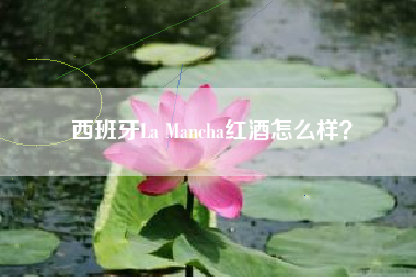 西班牙La Mancha紅酒怎么樣？